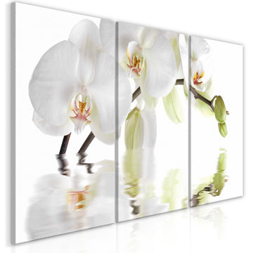Canvas Print - Wonderful Orchid (3 Parts)