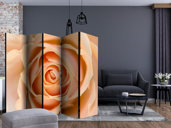 Room Divider - Peach-colored rose II [Room Dividers]