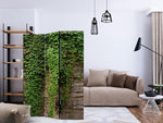 Room Divider - Ivy wall [Room Dividers]
