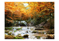 Wallpaper - autumn - waterfall