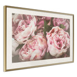 Poster - Pastel Peonies