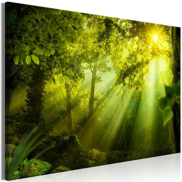 Canvas Print - In the Sunshine (1 Part) Wide