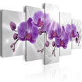 Canvas Print - Abstract Garden: Purple Orchis