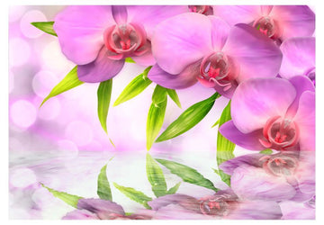 Wallpaper - Orchids in lilac colour