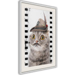 Poster - Dressed Up Cat