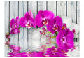 Wallpaper - Violet orchids with water reflexion