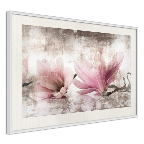 Poster - Picked Magnolias
