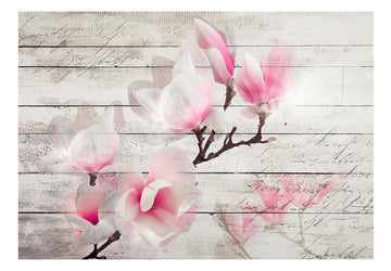 Wallpaper - Gentleness of the Magnolia