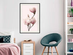 Poster - Blooming Magnolias III