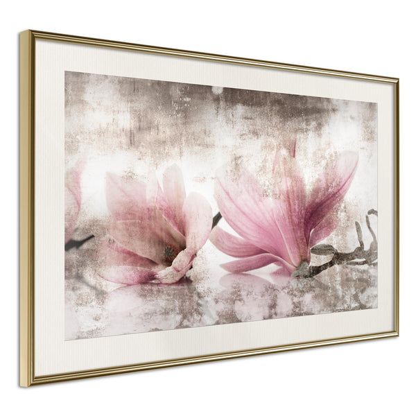 Poster - Picked Magnolias