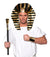 Egyptian 3 Piece Adult Costume Accessory Kit § One Size