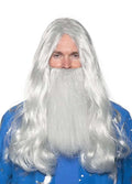 Grey Wizard Wig and Beard Adult Costume Set § One Size