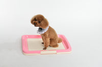 Large Portable Dog Potty Training Tray Pet Puppy Toilet Trays Loo Pad Mat Pink