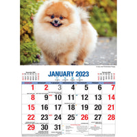 Adorable Dogs – 2023 Rectangle Wall Calendar 16 Months Planner New Year Gift