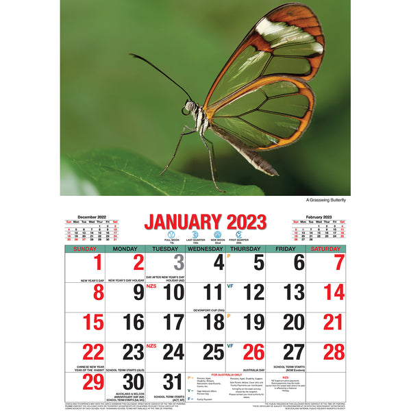 Butterflies – 2023 Rectangle Wall Calendar 16 Months Planner New Year Gift