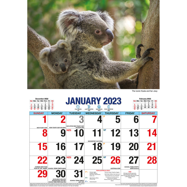 Australian Icons – 2023 Rectangle Wall Calendar 16 Months Planner New Year Gift
