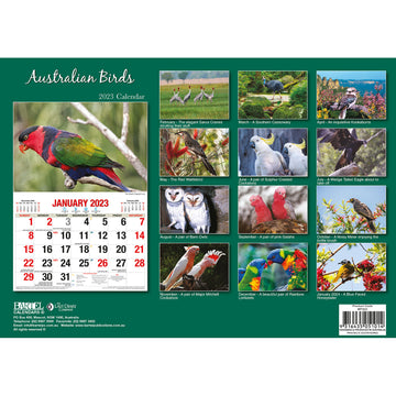 Australian Birds – 2023 Rectangle Wall Calendar 16 Months Planner New Year Gift