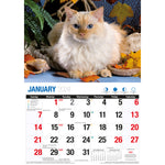 Cute Cats - 2024 Rectangle Wall Calendar 16 Months Planner Animal Pets Photos