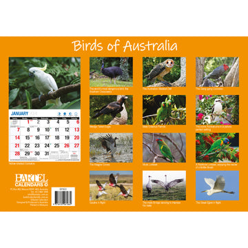 Birds Of Australia - 2024 Rectangle Wall Calendar 16 Months Birdwatching Photos