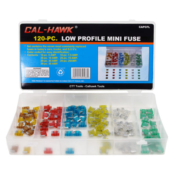 120-pc. Low Profile Mini Fuse