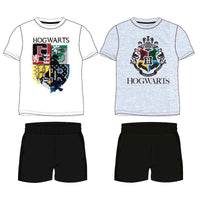 Harry Potter assorted adult outfit