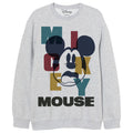 Disney Mickey adult sweatshirt