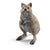 SCHLEICH Wild Life Quokka Toy Figure (14823)