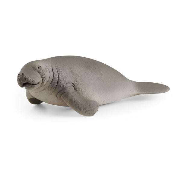 SCHLEICH Wild Life Manatee Toy Figure, 3 to 8 Years, Grey (14839)