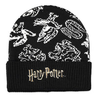 HARRY POTTER Wizards Unite Hogwarts Houses Beanie & Scarf Giftset, Black/White (GS266537HPT)