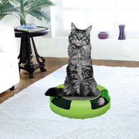 Catch the Mouse Moving Cat Toy - DGI -0536R AS-37117 PET0871